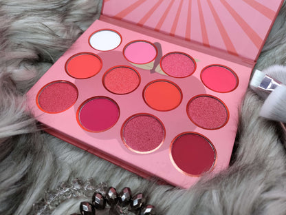 A close up of Bold and Luscious Cosmetics Co. Apple Palette. it is a rich Pigmented palette.there are 12 colors of eye shadow on the  palette.  It contains shades of reds and pink shimmer, and one white color.  The shades of shadowmatte colors. 